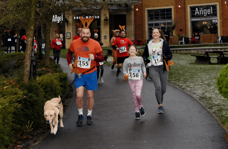 reindeer run 3