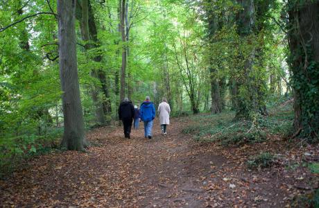 Walk and talk 