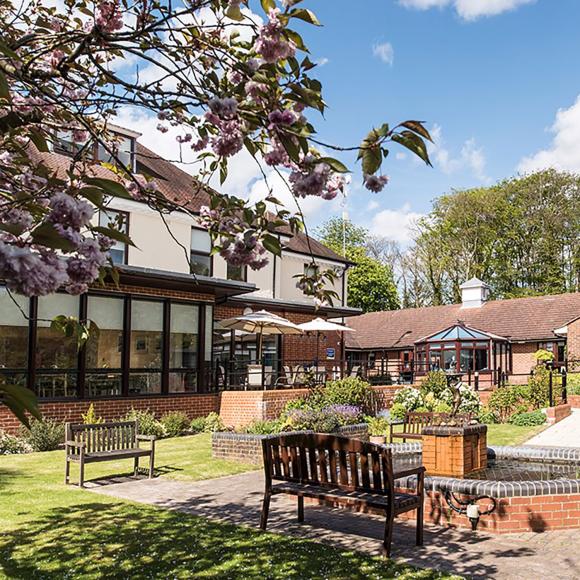 Sunny garden with blooming cherry tree in front of a large building.