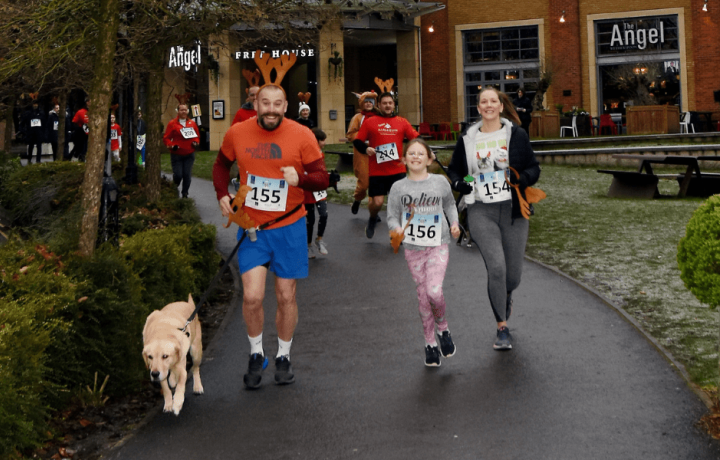 reindeer run 3