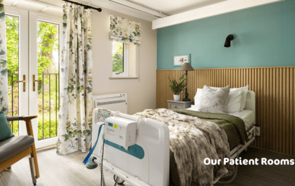 Comfortable hospital room which looks very homely
