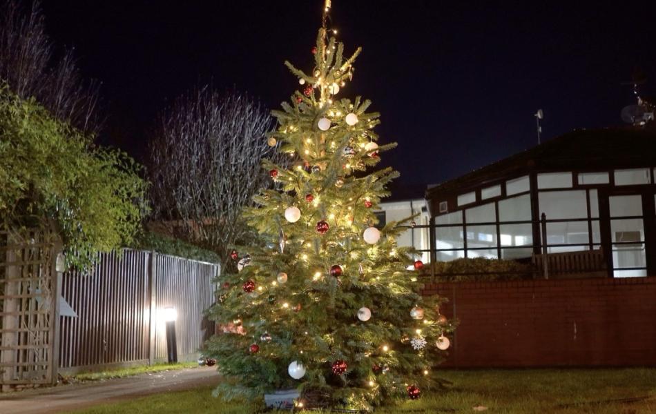 Brightly lit Christmas tree with red and white ornaments glows outdoors at night.