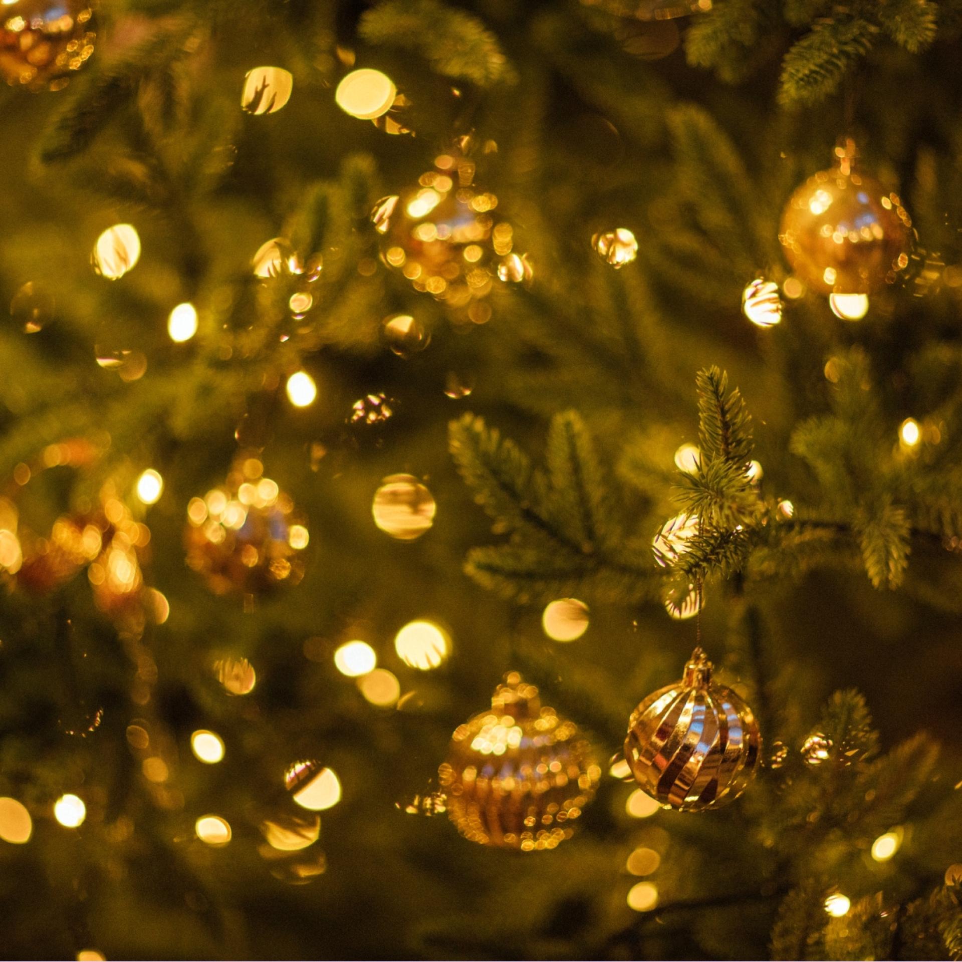 Warmly lit Christmas Tree close-up with some gold baubles shining in it.